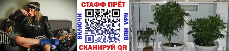 Где найти наркотики Приозерск КОКАИН  Псилоцибиновые грибы  Альфа ПВП  Амфетамин  ГАШ  Меф 