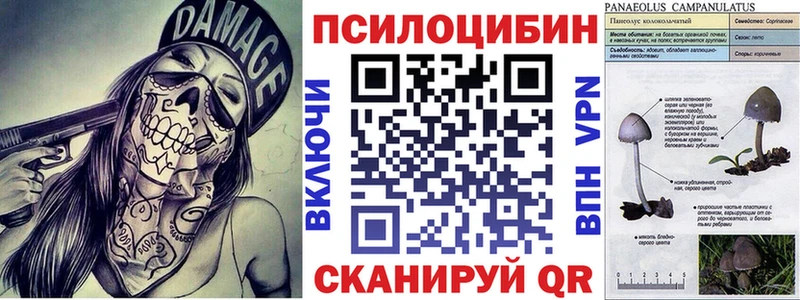 Псилоцибиновые грибы Cubensis  даркнет сайт  hydra ссылка  Приозерск 